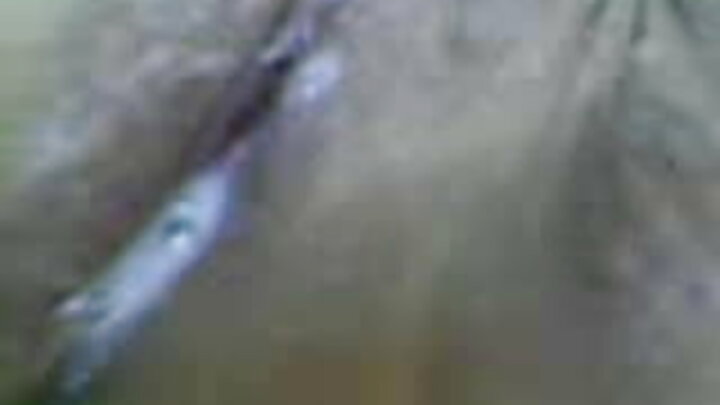 వైఫై పాస్‌వర్డ్ కోసం అబ్బాయి తన సవతి సోదరిని దెంగుతాడు